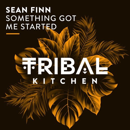 Sean Finn - Something Got Me Started [TK245]